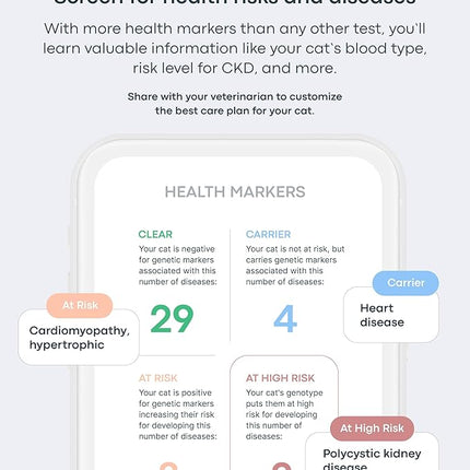Basepaws Cat DNA Test Kit - Comprehensive Breed, Health and Dental Analysis Across 114 Traits for Accurate and Easy-to-Use Genetic Insights (Cat Whole Genome Sequencing, Basic)