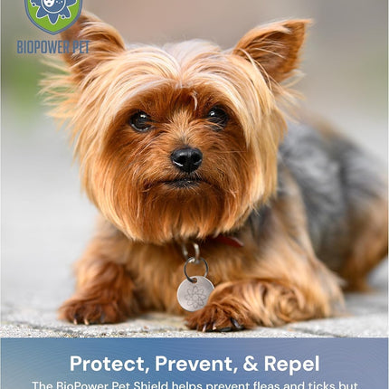 Shield Tag - Natural Flea & Tick Repellent Collar Tag for Dogs & Cats - Waterproof, Lasts 12 Months - Stainless Steel Pendant - Regular Tag (2 Pack)
