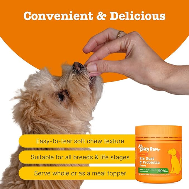 Zesty Paws Pre, Post & Probiotic Chews & Treats for Dogs, Pumpkin Flavour w/Epicor Postbiotics for Immune Support, Bacillus Subtilis & Inulin for Gut Health, All Breeds & Ages, 50 Pieces