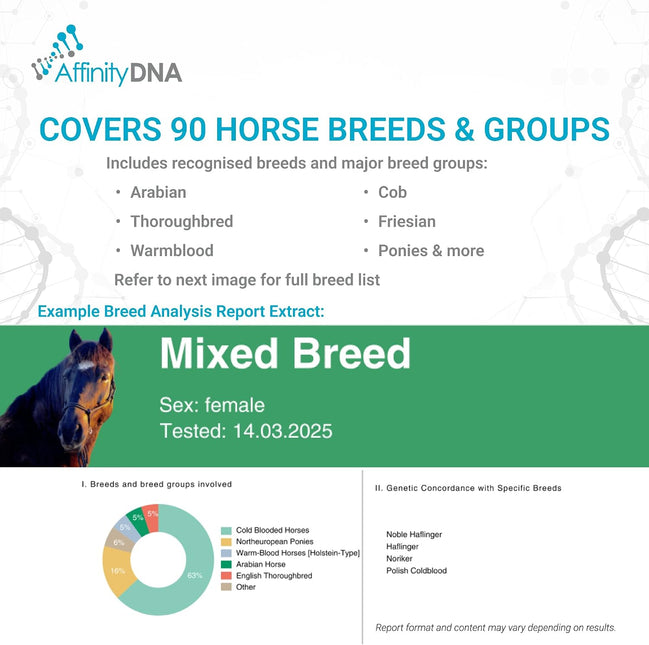 Horse Breed Test Kit USA | At Home Equine DNA Analysis Service | Covers Almost 90 Horse Breeds
