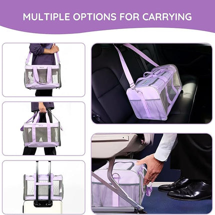 BELLA & PAL Cat Carrier Dog Carriers Airline Approved, Pet Carrier for Small Medium Dogs Cats Under 16Lbs, Collapsible Soft Sided Travel Puppy Carrier (Purple, 16.5" L x 11" W x 11" H)