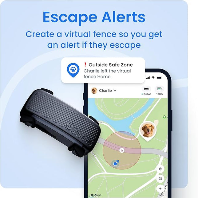Tractive GPS Dog Tracker (2025 Release with Free 6 Month Subscription) |