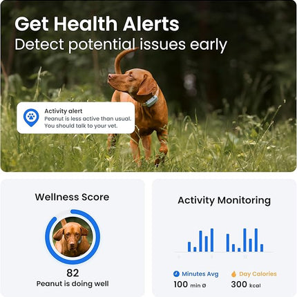 Tractive GPS Dog Tracker | 2025 Edition | Market Leader (Mint)