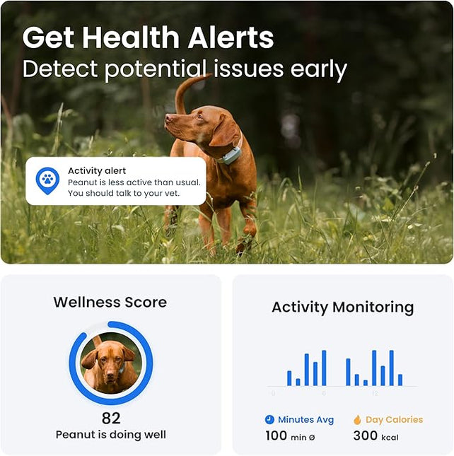 Tractive GPS Dog Tracker | 2025 Edition | Market Leader (Mint)