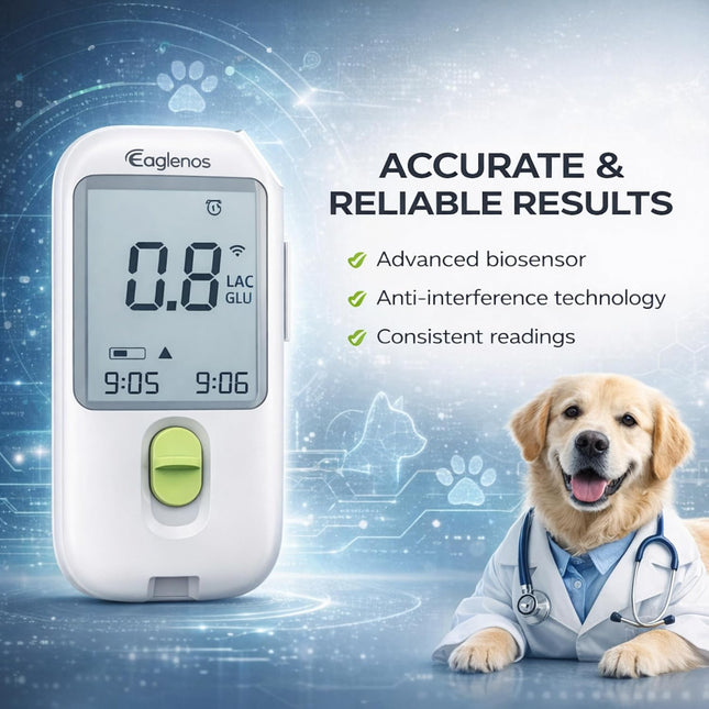 Pet Glucose & Lactate Monitor Kit, Pet Blood Analyzer for Dogs & Cats with Meter,  Fast 10s Results,0.8µL Sample for Horse Training