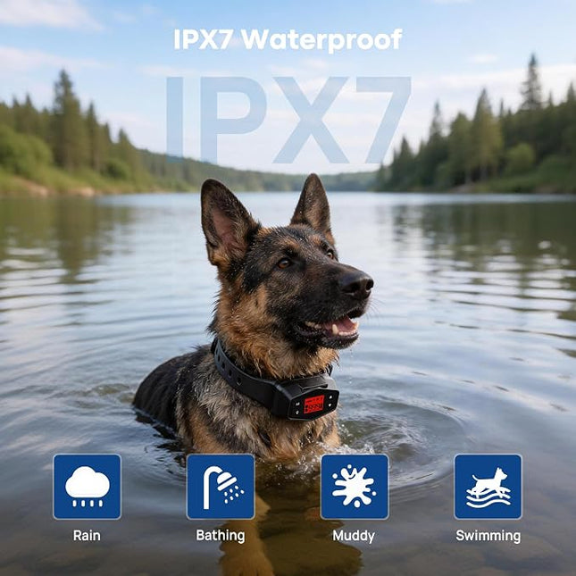 GPS Wireless Electric Dog Fence with 6-Level Adjustable Training, 33-999yd Outdoor Containment, IPX7 Waterproof