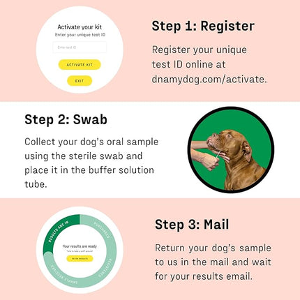 DNA MY DOG Vet-Recommended and Most Accurate Allergy Test for Itchy, Sensitive Dogs