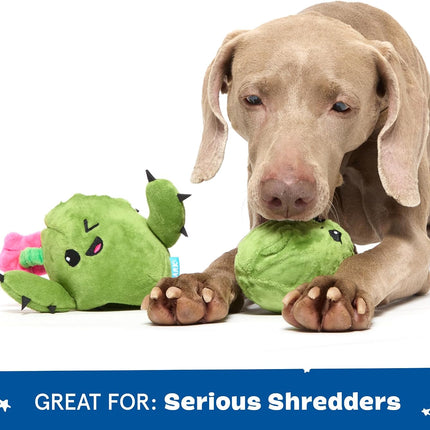 BarkBox Interactive 2-in-1 Stuffed Plush Squeaky Dog Toy
