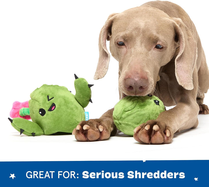BarkBox Interactive 2-in-1 Stuffed Plush Squeaky Dog Toy