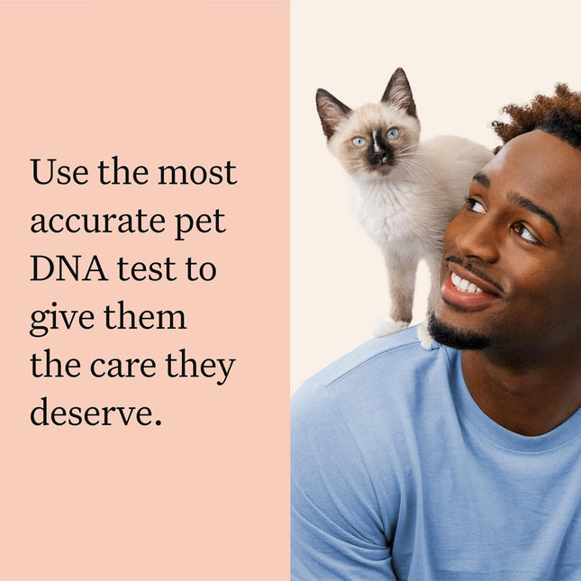 Wisdom Panel Complete: Comprehensive Cat DNA Test kit for 45 Health Genetic Health Conditions, 70+ Breeds and populations, 25+ Traits, Blood Type - Pack of 1