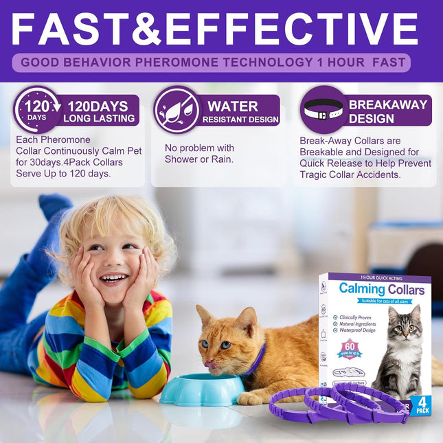 Cat Calming Collar