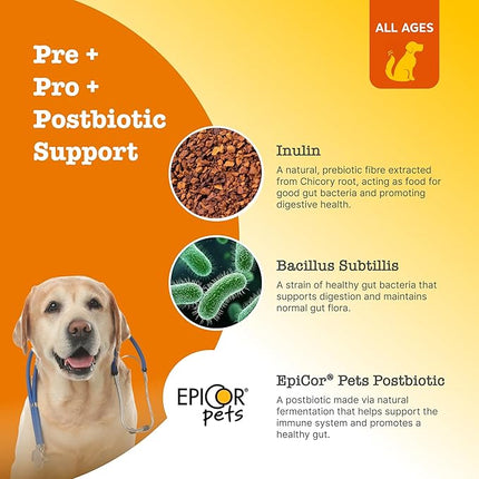 Zesty Paws Pre, Post & Probiotic Chews & Treats for Dogs, Pumpkin Flavour w/Epicor Postbiotics for Immune Support, Bacillus Subtilis & Inulin for Gut Health, All Breeds & Ages, 50 Pieces