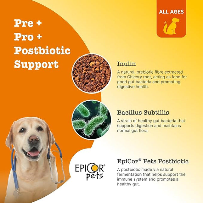 Zesty Paws Pre, Post & Probiotic Chews & Treats for Dogs, Pumpkin Flavour w/Epicor Postbiotics for Immune Support, Bacillus Subtilis & Inulin for Gut Health, All Breeds & Ages, 50 Pieces