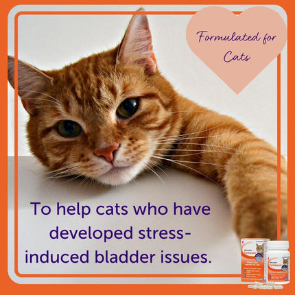 FELIWAY Cystease Advanced Urinary Tract Support for Cats (Pot Size: 30 Tablets)
