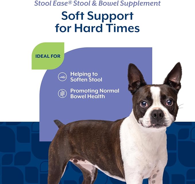 NaturVet Stool Ease Supplement for Dogs – 40 Soft Chews