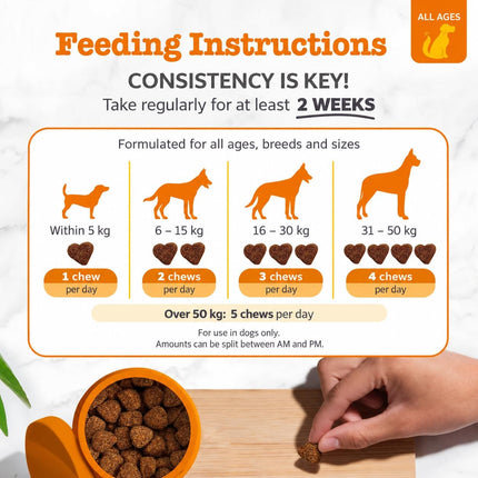 Pet Purely Dog Allergy Relief and Immune Chews Beef Flavour,120 Chews