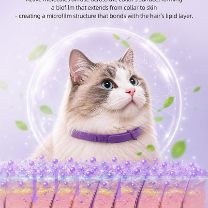 Calming Collar for Cats - Adjustable Anxiety Relief and Stress