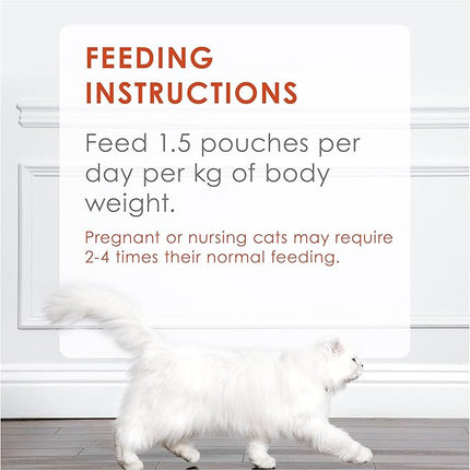 FANCY FEAST Inspirations Adult Wet Cat Food Salmon and Tuna Variety Pack 24x70g