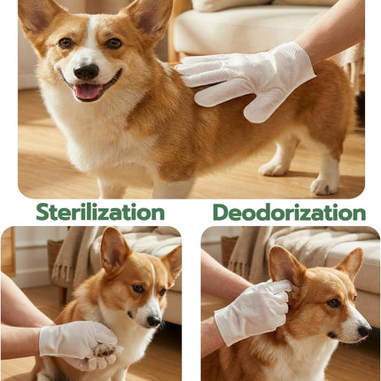 Pet Washing Glove Wipes with Lid | Extra Thick Grooming Gloves for Dog & Cat | 10PCS