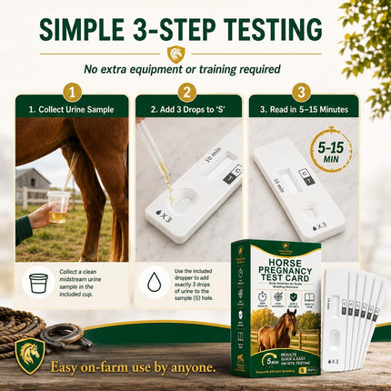 Mare Pregnancy Test Strips – Rapid Urine Kit for Horses, Accurate Results in 10 Mins