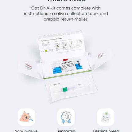 Basepaws Cat DNA Test Kit - Comprehensive Breed, Health and Dental Analysis Across 114 Traits for Accurate and Easy-to-Use Genetic Insights (Cat Whole Genome Sequencing, Basic)