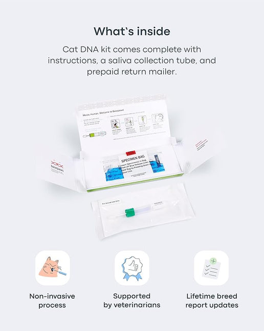 Basepaws Cat DNA Test Kit - Comprehensive Breed, Health and Dental Analysis Across 114 Traits for Accurate and Easy-to-Use Genetic Insights (Cat Whole Genome Sequencing, Basic)