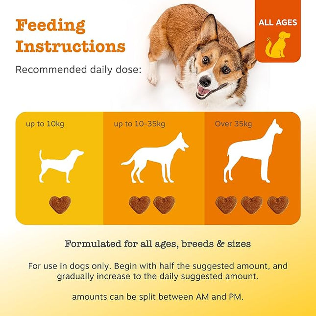 Zesty Paws Pre, Post & Probiotic Chews & Treats for Dogs, Pumpkin Flavour w/Epicor Postbiotics for Immune Support, Bacillus Subtilis & Inulin for Gut Health, All Breeds & Ages, 50 Pieces