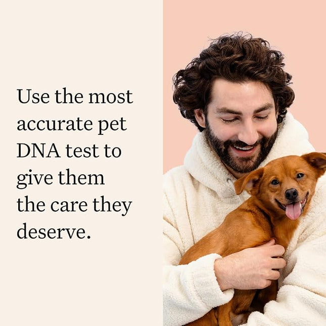 Wisdom Panel Premium Dog DNA Testing Kit - Most Comprehensive Test - 265+ Health Tests, 430+ Dog Breeds, 50+ Traits, Relatives, Ancestry, 1 Pack