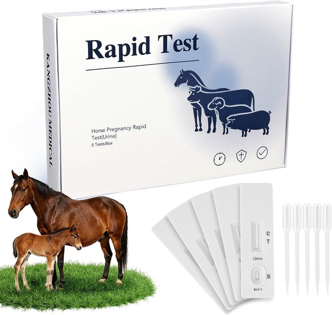 Horse Pregnancy Test - 5 Pack Mares Pregnancy Urine Test Strips