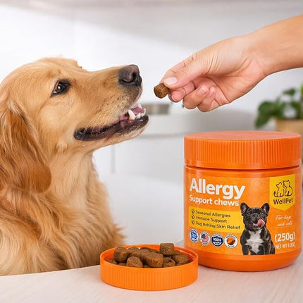 WellPet Allergy Support Chews for Dogs and Cats, Chicken Flavour, Immune Support, Itching Skin Relief, 250g