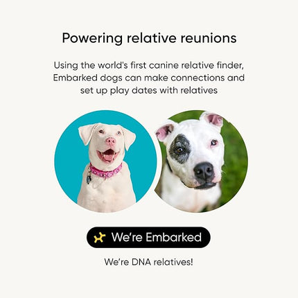 Embark Breed Identification Kit - Most Accurate Dog DNA Testing Kit - 99% Breed Ancestry Accuracy for Mixed Breed Dogs - Plus Relative Finder & Family Tree