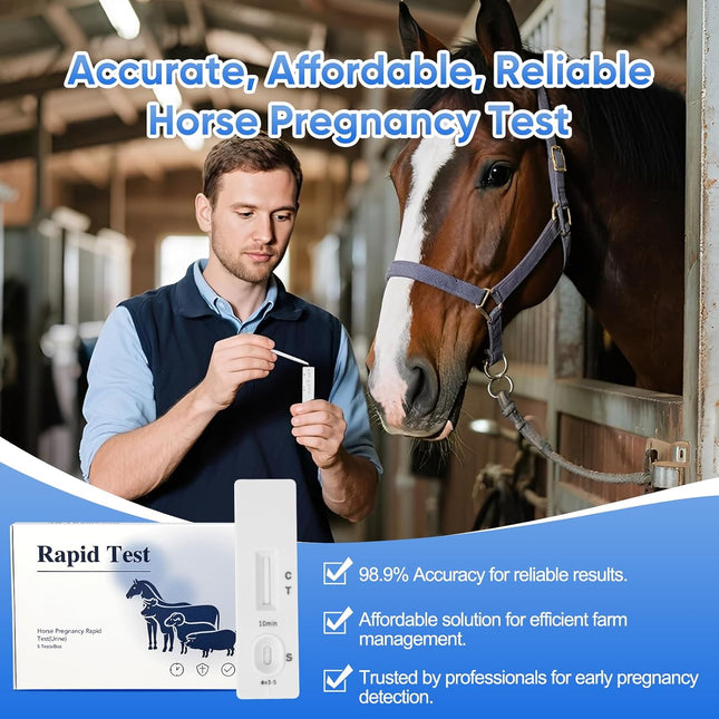Horse Pregnancy Test - 5 Pack Mares Pregnancy Urine Test Strips