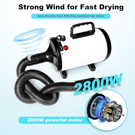 Dog Hair Dryer (White)