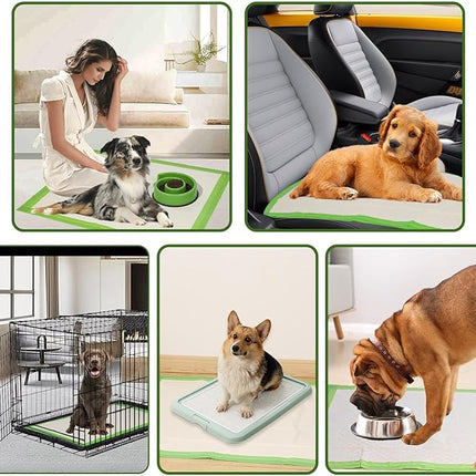 Gardner Pet Dog Pee Pads Extra Large 28"x34", XL Thicker ECO Green Disposable XLarge Puppy Training Pads