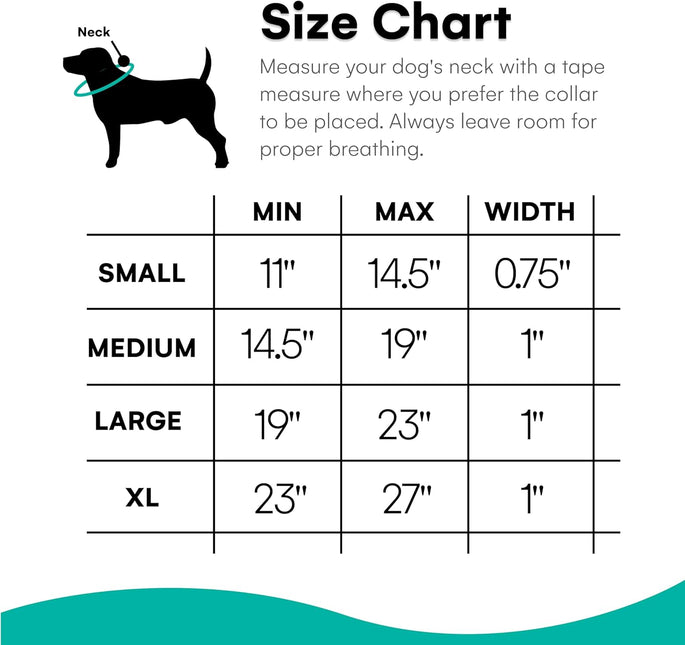 Black Rhino The Comfort Dog Collar