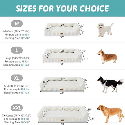 Cozy KISS Cute Dog Bed for Medium Dogs, Faux Rabbit Fur Orthopedic Foam (Cream, 30" L x 20" W x 6" Th)
