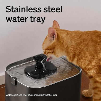 PETLIBRO Upgrade Cat Water Fountain Stainless Steel Tray, Dockstream 2 Cat Fountain Indoor, 3L/101oz 5g