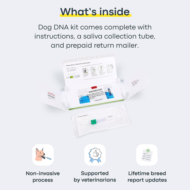 Basepaws Cat DNA Test Kit, Breed, Health & Dental Insights, 114 DNA Traits