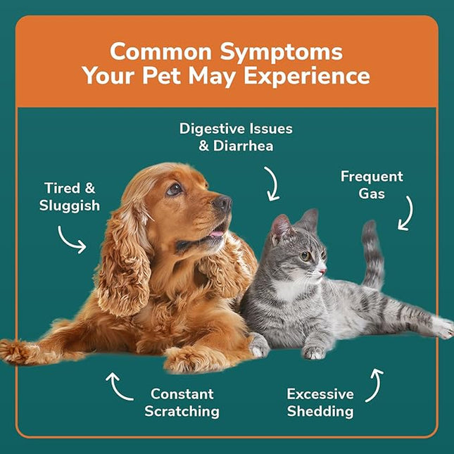 Pet Sensitivity Test Kit - Tests 1000+ Food & Environmental Intolerances - At-Home Hair Sample - Results in 48 Hours - Cats & Dogs