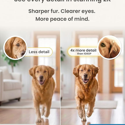 Furbo Mini 360° 2K Pet Camera for Dog & cat (2025 New) + AI Nanny,(Subscription Required)