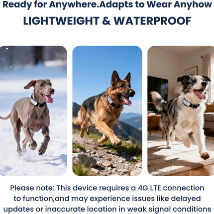 DBDD AI GPS Tracker for Dogs, Real Time Location and AI Health Care Management, Electronic Fence, Waterproof, iOS and Android Compatible (White)