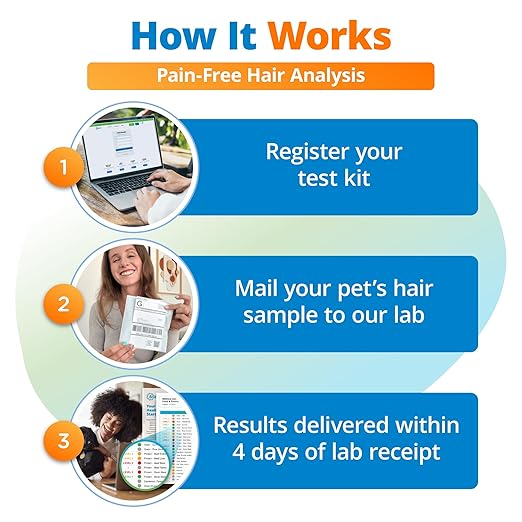 5Strands Pet Food Intolerance & Environmental Sensitivity Test, at Home Gut Health Test for Dogs & Cats, 1100+ Items Tested, Pet Health Check, Results in 4 Days, For All Ages and Breeds