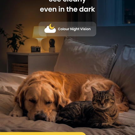 Furbo Mini Pet Camera + AI Nanny, 1080p Indoor Camera with Auto Tracking & Zoom, Colour Night Vision, 2-Way Audio,(Subscription Required)