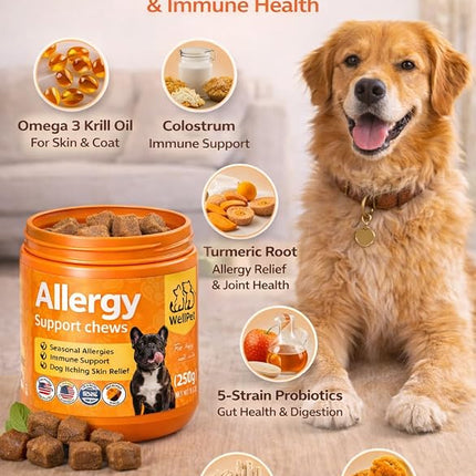 WellPet Allergy Support Chews for Dogs and Cats, Chicken Flavour, Immune Support, Itching Skin Relief, 250g