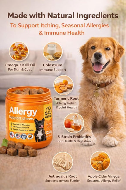 WellPet Allergy Support Chews for Dogs and Cats, Chicken Flavour, Immune Support, Itching Skin Relief, 250g