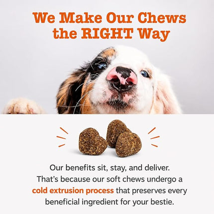 WellPet No Poo Support Chews for Dogs and Cats, Stool Eating Deterrent, with Probiotics and Digestive Enzymes, Chicken Flavour, 250g,100ct