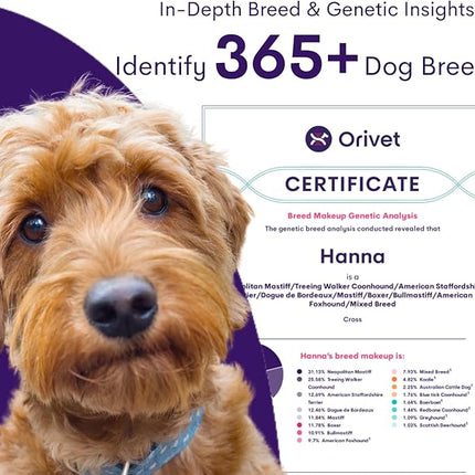ORIVET GenoPet Plus Dog DNA Test Kit | 365+ Breed Identification & 330+ Genetic Health Conditions Included | Personalized Life Plan | At-Home Cheek Swab | Results in Approximately 3–5 Weeks