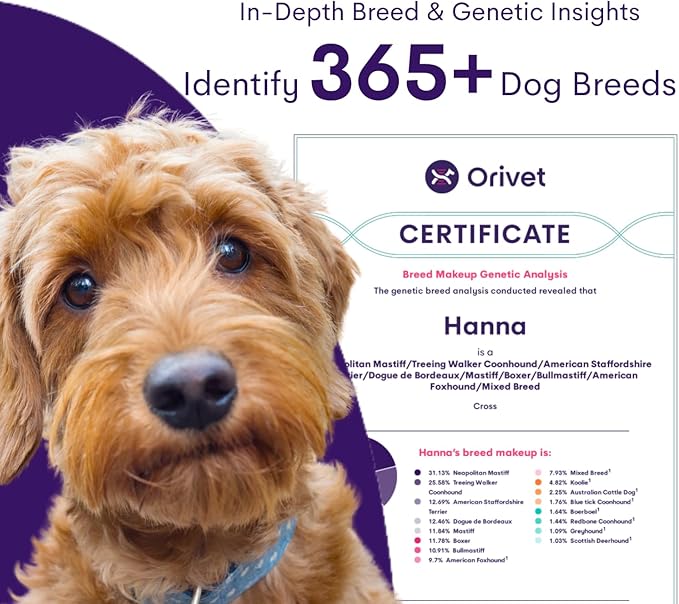 ORIVET GenoPet Plus Dog DNA Test Kit | 365+ Breed Identification & 330+ Genetic Health Conditions Included | Personalized Life Plan | At-Home Cheek Swab | Results in Approximately 3–5 Weeks
