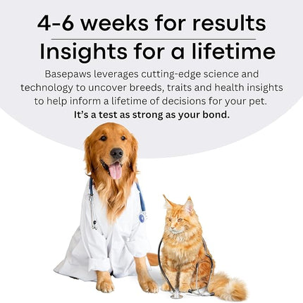 Basepaws Dog DNA Testing Kit - 330+ Breeds, 280+ Health Risks, and 30+ Traits - Comprehensive Mixed Breed Identification, Pet DNA Test kit, Canine Genetic Ancestry and Heritage
