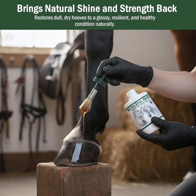 Hoof Oil, Horse Hoof White Line, Thrush, Abscesses, Overall Hoof Strength, Growth, Hoof Conditioning Rehydration